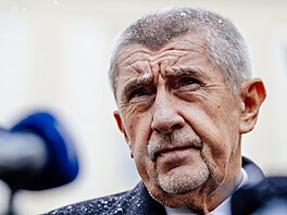 Andrej Babi� p�edal prezidentu Petru Pavlovi návrh na slo�ení nové vlády. (26....