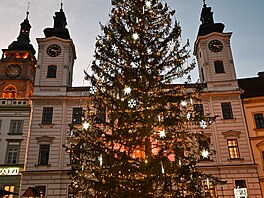 V�no�n� trhy v Hradci Kr�lov� v roce 2024