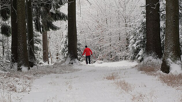 Ve vy���ch parti�ch kraje, nap��klad ve ���rsk�ch vr��ch, si u� b�ka�i u�ij� solidn� svezen�. Na sn�mku okol� Sklen�ho a T�ech Studn�.