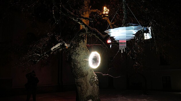 tvrt ndvo krl takzvan Hvzdokupa, strom ovnen netradinmi zcmi objekty.