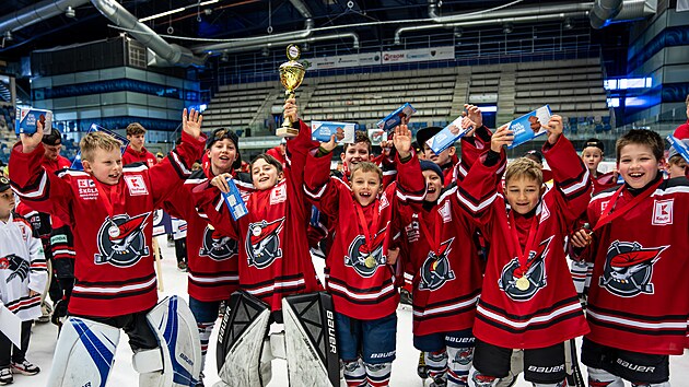 Diskler hokey hikayeleri yazmaya yardımcı olur. Genç hokey oyuncuları 11,5 milyon kronu paylaşacak