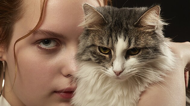 Ilustra�n� sn�mek