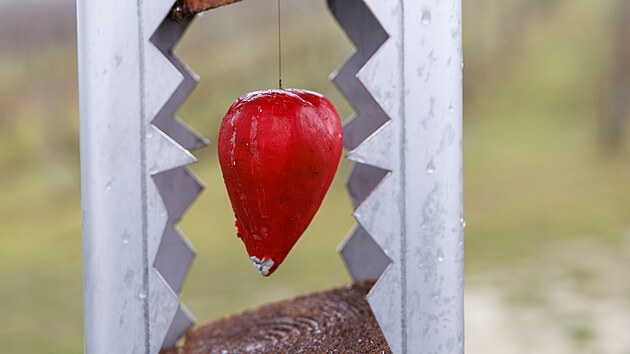 Poni�en� socha Je��e, kter� sed� na k��i s poh�rkem v�na v ruce a pozoruje vinice, se vr�tila na sv� p�vodn� m�sto u Velk�ch Pavlovic na B�eclavsku. D�lo v �ervnu po�kodil vandal z�ejm� motorovou pilou. Od��znut� kusy nyn� spojuje kovov� konstrukce, uvnit� n� vis� srdce. (25. listopadu 2025)