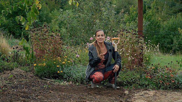 R�t, �i ner�t? 