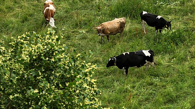 �r�tkova ekologick� farma