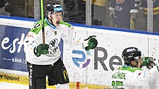 Vojt�ch Hradec z Mladé Boleslavi oslavuje gól.