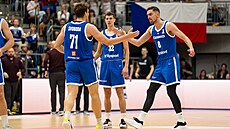 Martin Svoboda a Tomá� Satoranský si plácají b�hem utkání proti �védsku v...