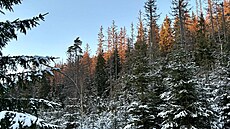 Na �umav� nam��ili v noci meteorologové a� -25 °C. Na Kvild� napadl také sníh....