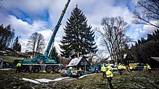 Váno�ní strom pro Starom�stské nám�stí v Praze u�ízli d�evorubci v osad� Lesná...