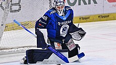 Vítkovický branká� Hrachovina v akci.