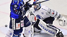 Plze�ský branká� Nick Malík udr�el v zápase s Víttkovicemi �isté konto.