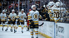 Mat�j Blümel se raduje z gólu Bostonu na led� Anaheimu.