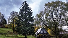 �íjen 2025 (Lu�ické hory, �luknovský výb�ek, osada Lesná u Ji�etína)