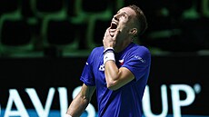 Ji�í Lehe�ka se zlobí ve �tvrtfinále Davis Cupu proti �pan�lsku.