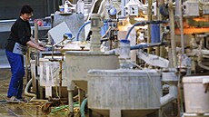 Výroba dla�dic v továrn� Rako v Rakovníku (3. kv�tna 2002)