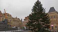 Na Starom�stské nám�stí v Praze dorazil v noci váno�ní strom z Ji�etína pod...