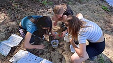 �Sázení strom� p�edstavuje krásný p�íklad, jak lze vzd�lávání prom�nit v konkrétní �in,� p�iblí�ila �editelka Geoparku Ralsko Lenka Mrázová.