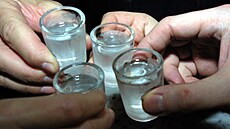 Poslední panák? Není to v�bec snadné. Tlak prost�edí na tento typ �socializace�...