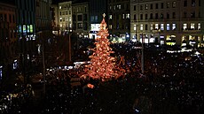 Na náměstí Svobody v Brně se slavnostně rozsvítila dvanáctimetrová jedle (21....