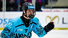 Karlovy Vary, 25. 11. 2025. Energie Karlovy Vary - Ocelá�i T�inec, extraliga,...