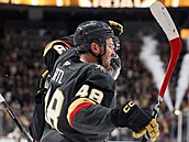 Tomá Hertl se raduje po svém druhém gólu v utkání proti San Jose.