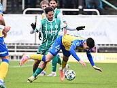 Momentka z duelu Bohemians Praha 1905 - FK Teplice.
