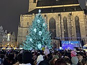 Na plzeském námstí Republiky rozsvítili vánoní strom. (30. listopadu 2025)