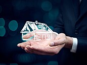 darování nemovitosti