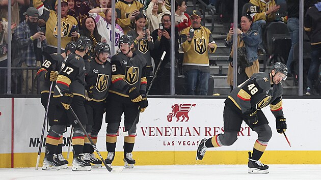 Hokejist� Vegas oslavuj� g�l Tom�e Hertla-
