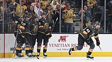 Hokejisté Vegas oslavují gól Tomá�e Hertla-