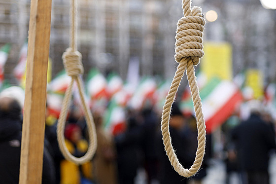 N�kolik stovek íránských exulant� demonstruje v Kolín� nad Rýnem proti...