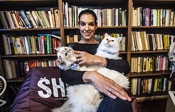 Ko�ky místo prá�k�. V �esku roste zájem o felinoterapii.