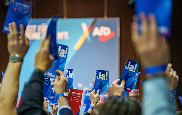 Na sjezdu mládežnické AfD připomínal Hitlera. Proč mě chtějí vyloučit? nechápe