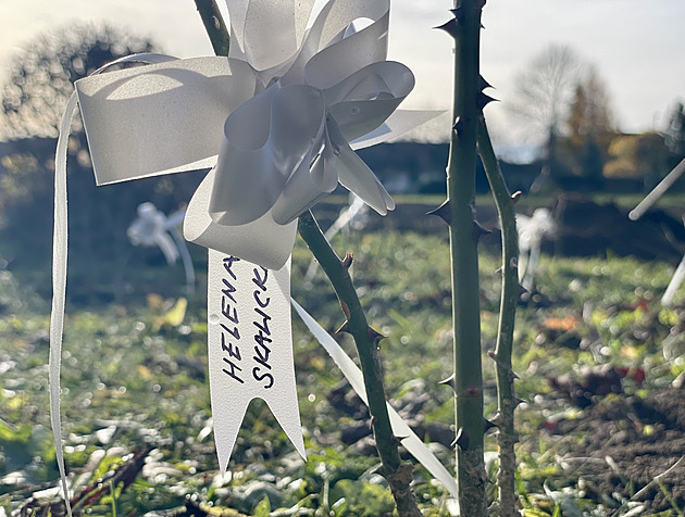 Lažáky'ye 20 gül: Hayatta kalan son kişi bu anıyı onurlandırdı