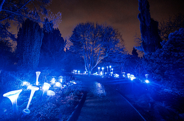 Masožravky i obrovské houby. Botanickou zahradu v Troji rozzářily skleněné květy