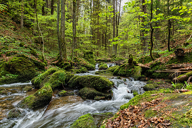 Skryt� skvosty Libereck�ho kraje � m�sta, kter� v�s p�ekvap� i v zim�