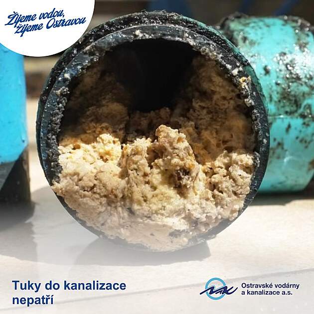 Tuk ze sma�en� kapra do kanalizace nepat��