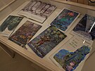 Vstava pedstavuje i kolekci knih, kter tpn Zavel ilustroval.