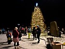 Nov� Hr�dek nazdobil mod��n za v�no�n� strom, m� �esk� rekord
