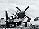 Spitfire 312. �s. st�hac� perut� RAF b�hem operace Overlord