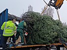 Pracovn�ci havl��kobrodsk�ch Technick�ch slu�eb vypravili v�no�n� strom na...