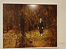 Vclav Jirsek (narozen 1965)  Infekce, slo 4, V lese, 2003  fotografie