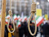 Nkolik stovek íránských exulant demonstruje v Kolín nad Rýnem proti...