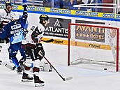 Brnnský Moravec slaví gól do sít Sparty.