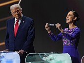 Americký prezident Donald Trump se po více ne deseti msících v úad poprvé...