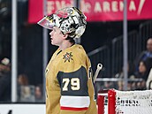 ZPT MEZI ELITOU. Hokejový branká Carter Hart se po 682 dnech vrátil do NHL,...