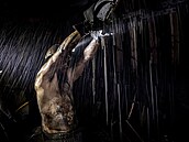 REPORTÁ� Luká� Kabo�, Deník Práce horníku na dole �SM-Sever (OKD)