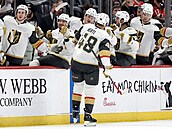 Tomá Hertl slaví se stídakou Vegas gól.
