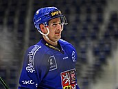Roman ervenka na tréninku eské hokejové reprezentace v Liberci.