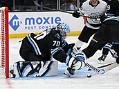 Karel Vejmelka se snaí pikrýt kotou.